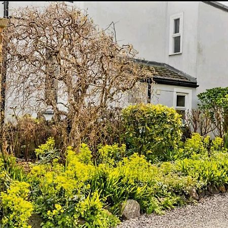 The Mews - Less Than 1Km To City Centre - Stadium - Castle - 10 Min Walk Cardiff Exterior photo